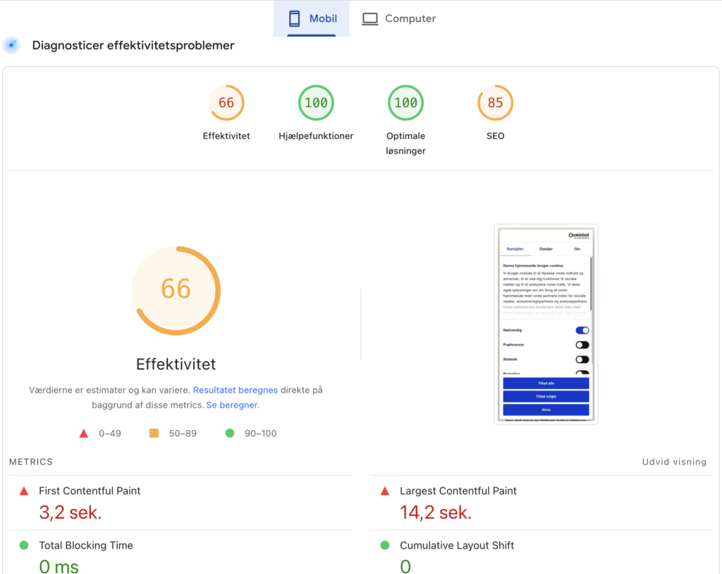 Pagespeed Mobil